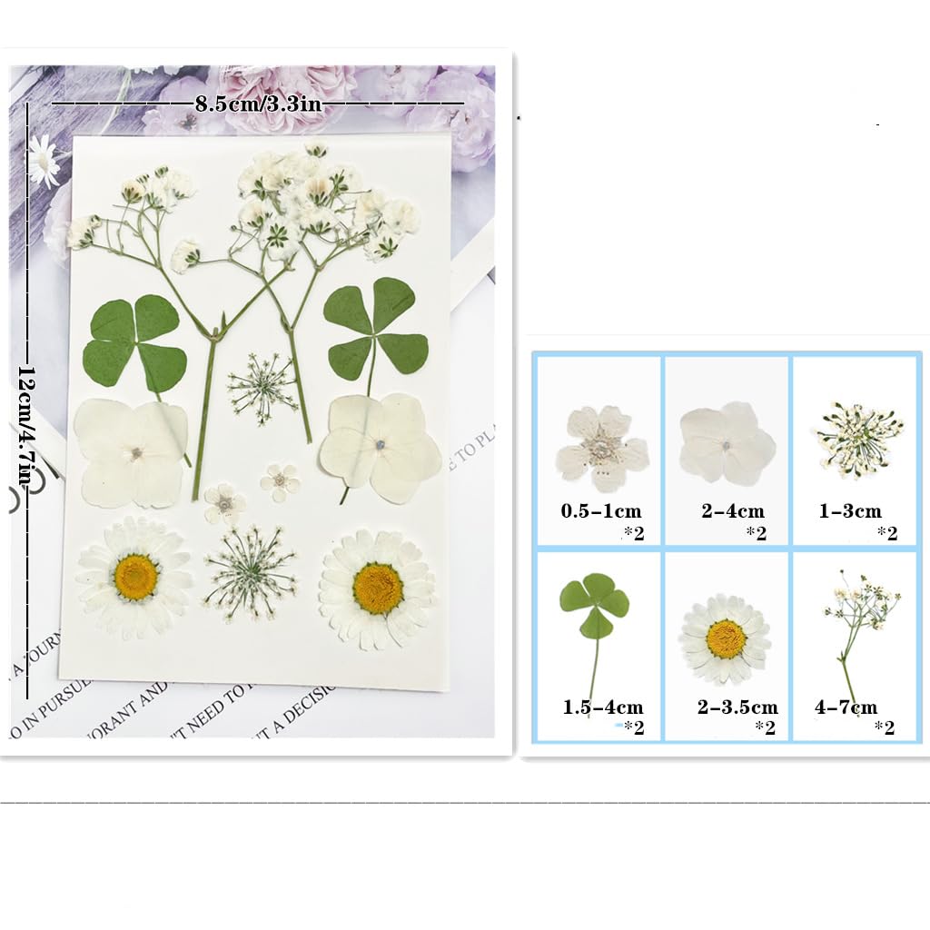 72 Piezas Flores Secas Naturales Mixtas Flores Secas Prensadas Kit de Hojas Secas Hierbas Naturales para Resina Álbumes de Recortes DIY Regalo Scrapbooking Joyas Uña Pendientes Arte
