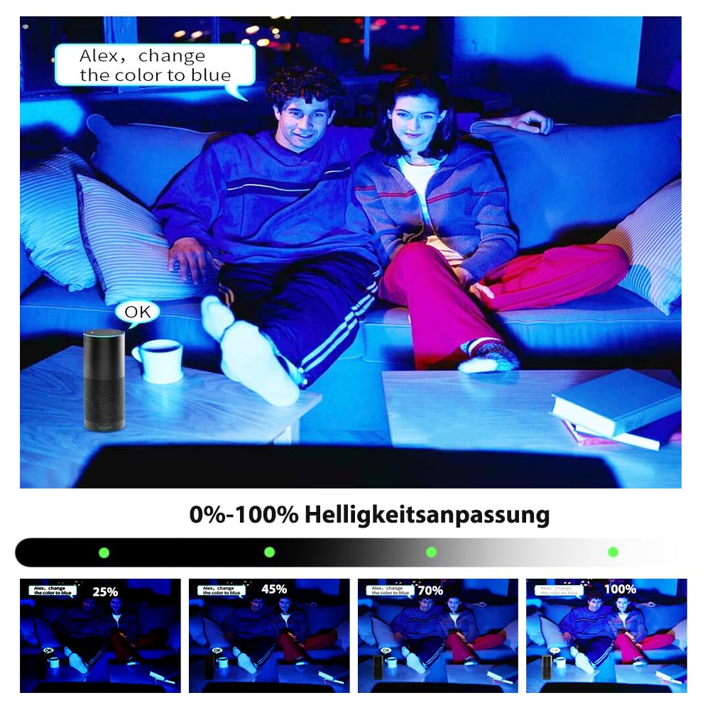 5M WiFi RGB blanco cálido tira de LED 24V impermeable IP65, tira de LED RGB regulable con controlador y fuente de alimentación, 60LEDs/m,compatible con APP Alexa, Google home