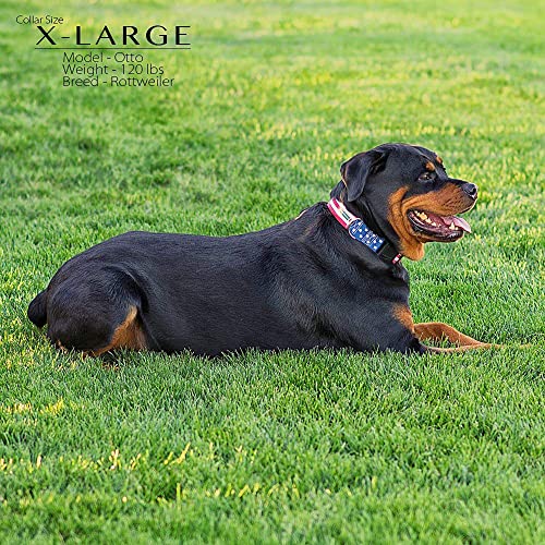 American Flag Dog Collar In 5 Different Sizes Classic (X-Large) #TOP7