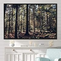 Framed Canvas Wall Art Rustic Woods Brown Dark Dramatic Forest Group Nature Photography Realism - 16x24 inches