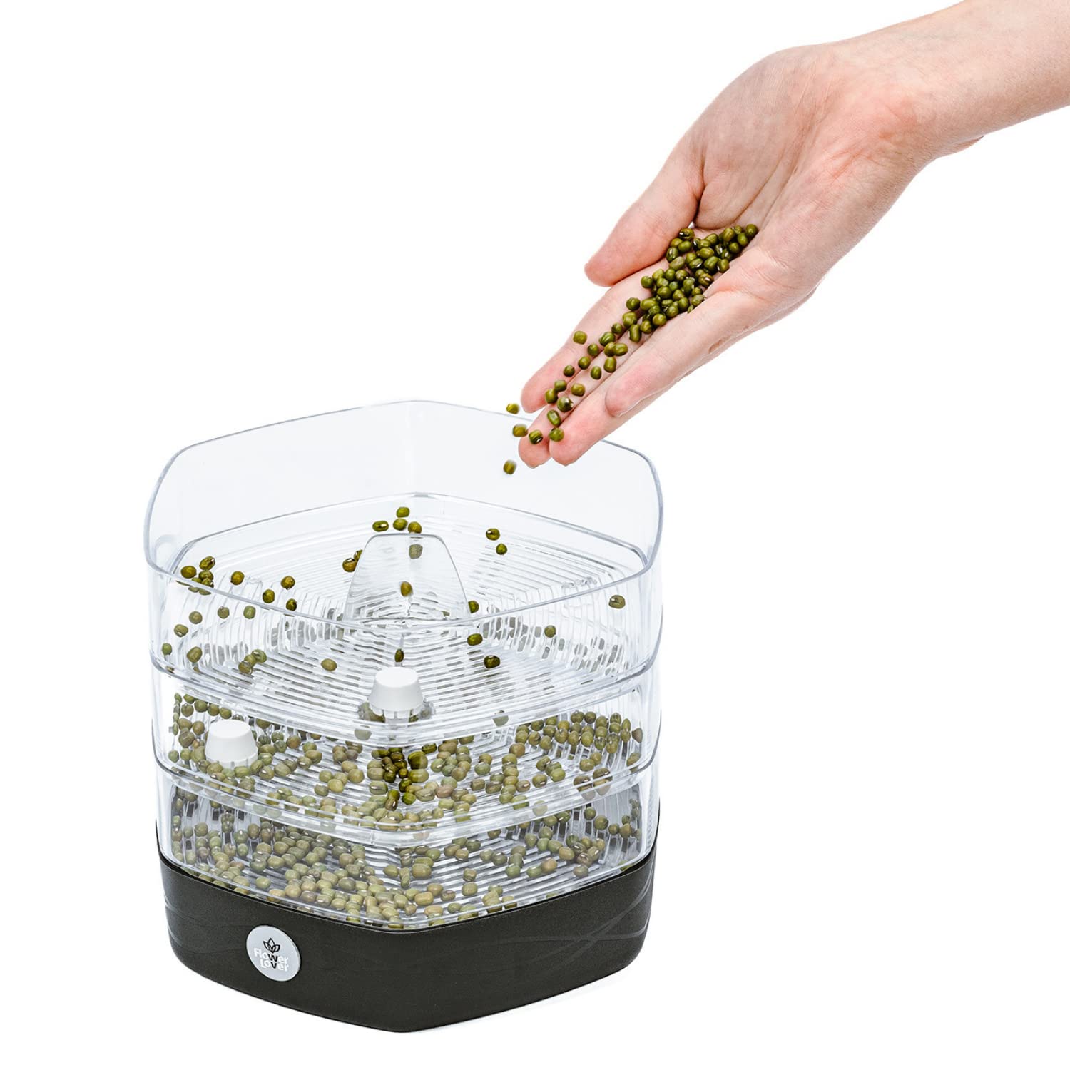 Zestaw Tac do Kiełkowania z 3 Poziomami, ø 17 cm - Wieża do Kiełków, Rzeżuchy, Mikrogreenów - Designerskie Sito z Wysokiej Jakości Tworzywa Sztucznego (Antracyt)