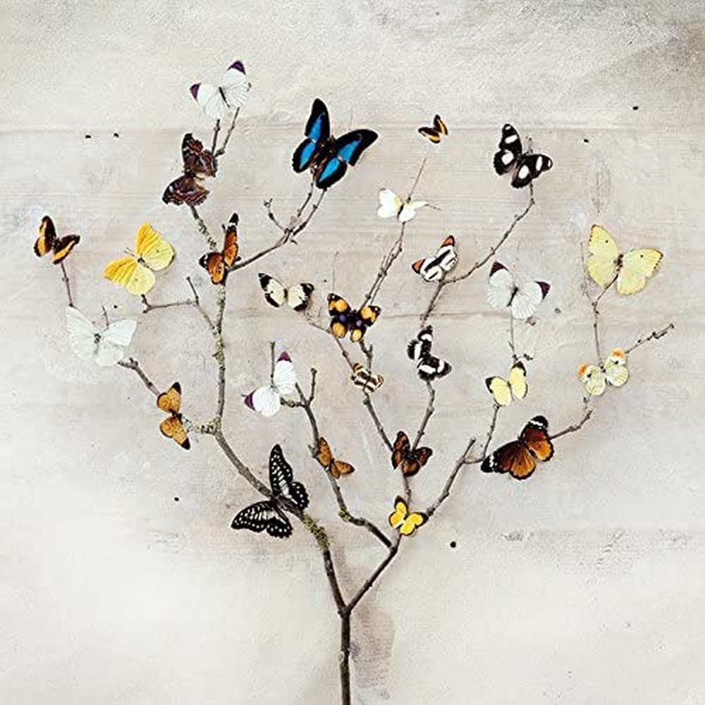Ian Winstanley "Tree of Butterflies" Canvas Print, Cotton, Multi-Colour, 3.20 x 40.00 x 40.00 cm