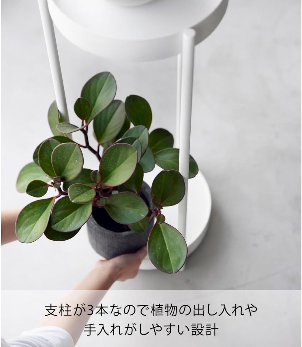 NIGOE 多層バルコニー植木棚タワー観葉植物室内床式置物鉄製多肉植木鉢 (ブラック,30*60cm) [並行輸入品]