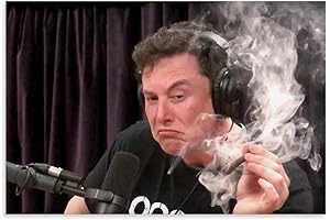 DMIEXA Elon Musk Classic Speech Smoking Cigar Poster Wall Art Gifts