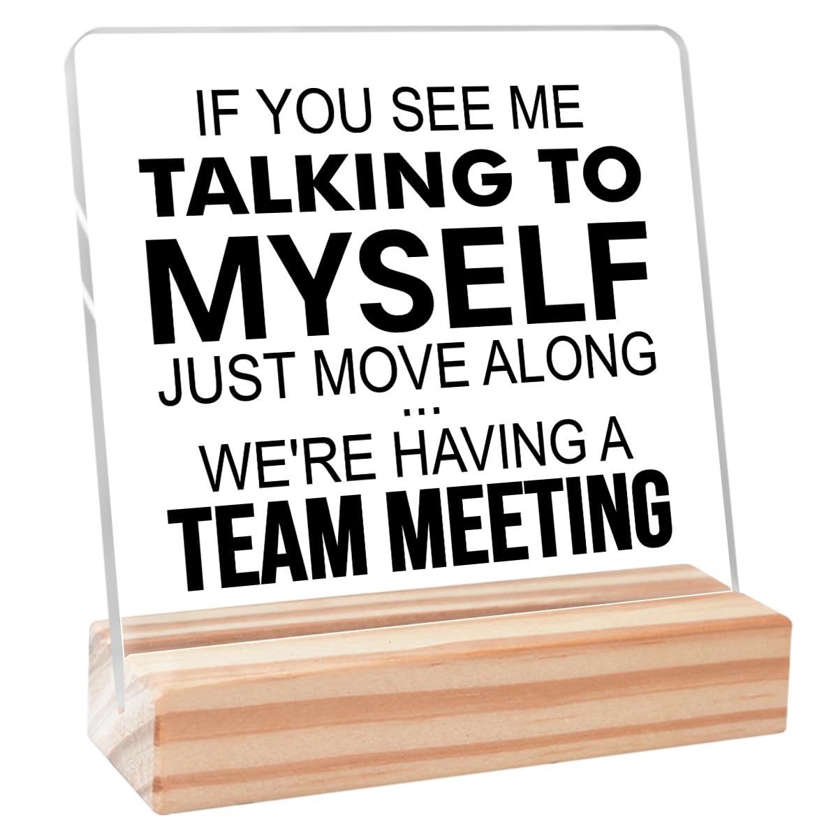 Acrylic Funny Office Signs,Motivational Office Gifts for Women Men,Humor Office Cubicle Gifts for Boss Coworker,If You See Me Talking To Myself Office Sign Acrylic Plaque Desk Decor