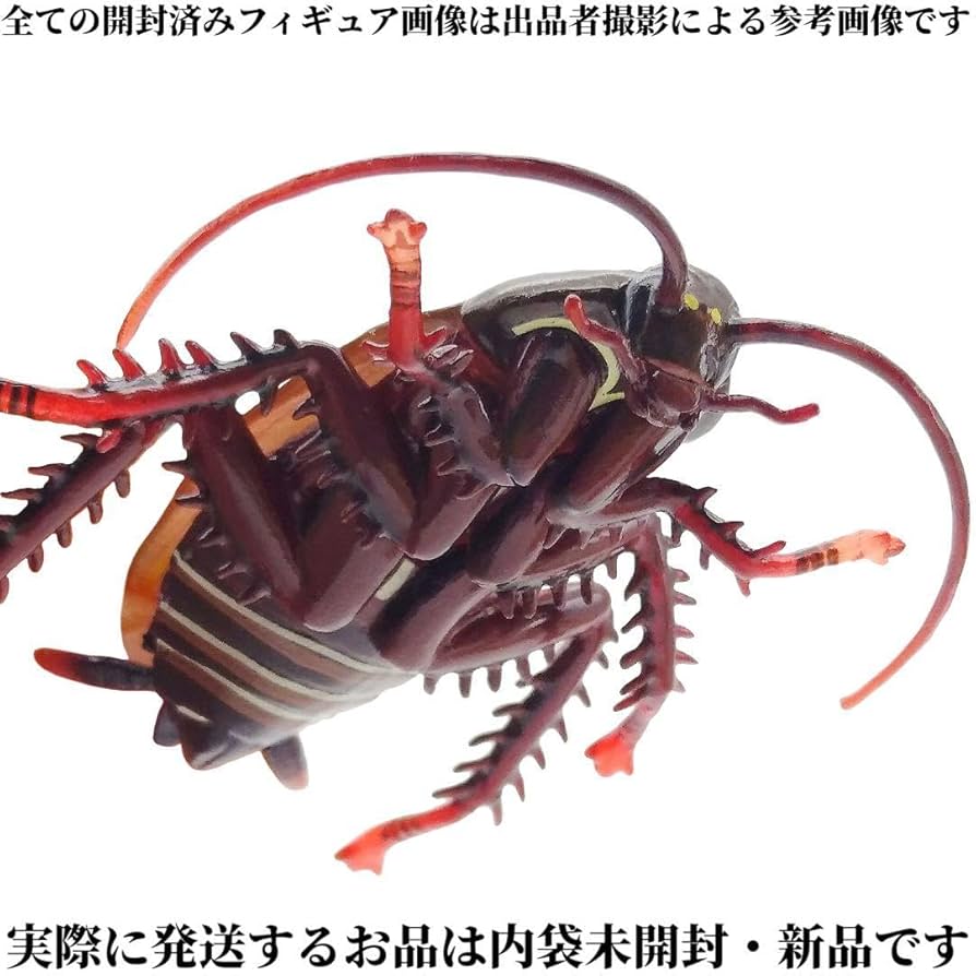 Amazon | フィギュア クロ ゴキブリ 海洋堂 衛生害虫博覧会 昆虫