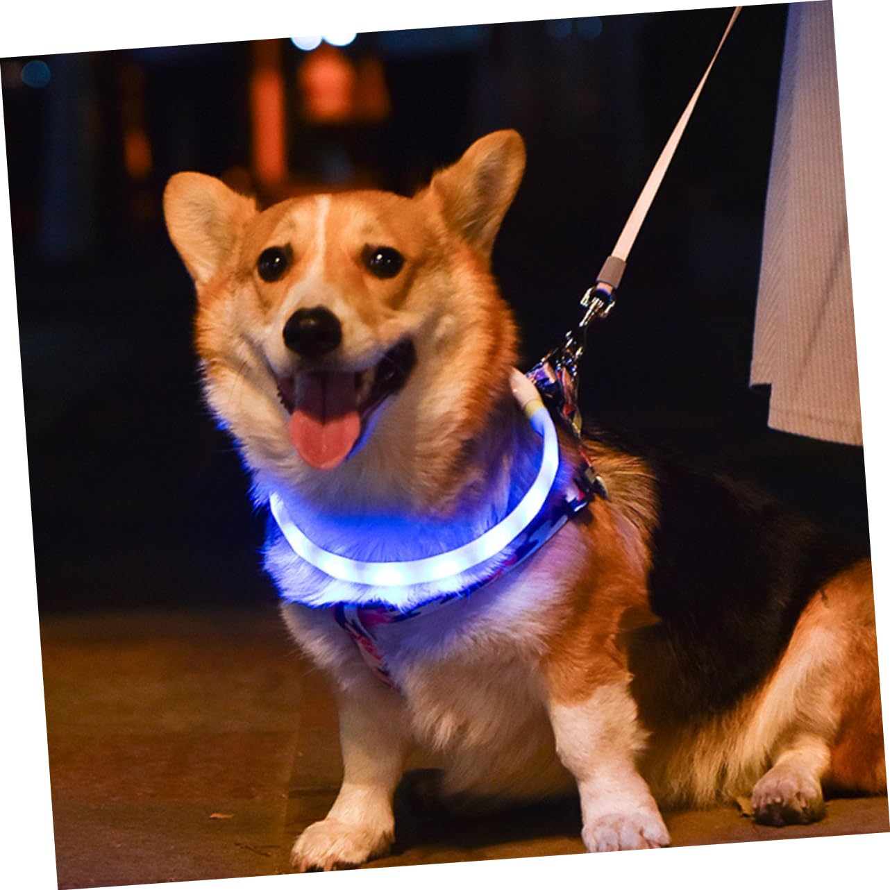 INOOMP 2juegos Collar Led para USB y para Seguridad Nocturna Collar Luminiscente para