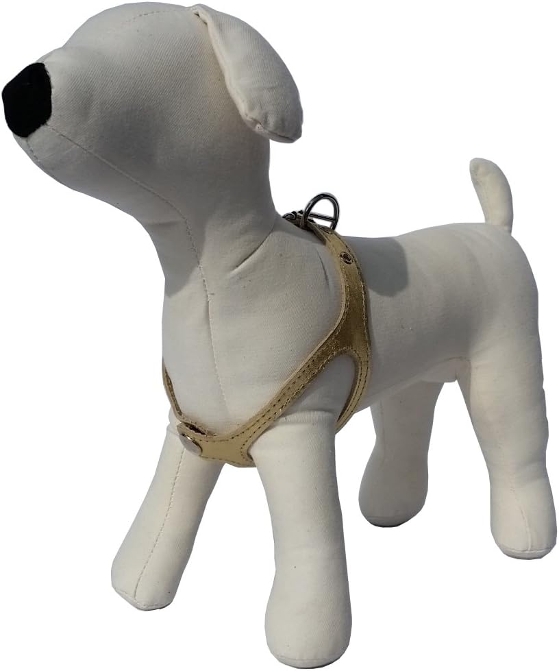 No Choke Premium Leather Dog Harness, Size 1/9-12-Inch, Gold