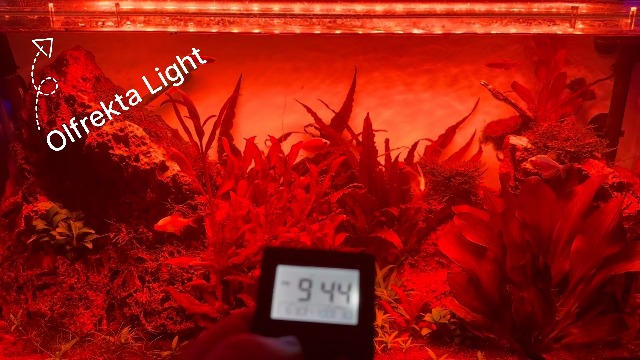 Amazon.com : Full Spectrum LED Aquarium Light - High Power LED