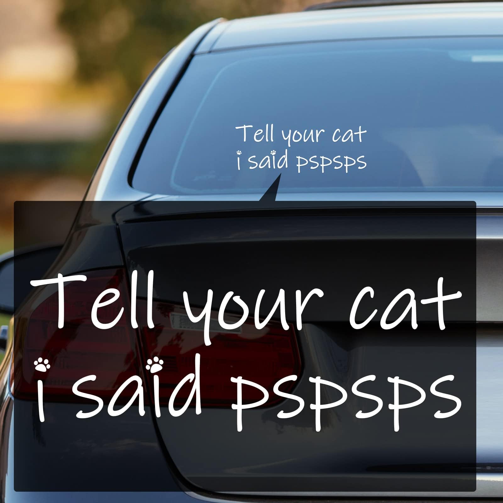 Aolamegs Tell Your Cat I Said Pspsps Stickers (2 Pack, White), Vinyl, Weatherproof, Car Decals