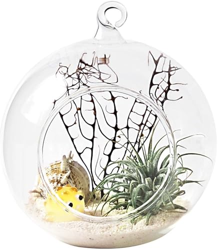 Miniatura 4 de Mkono 2 Pack Glass Hanging Planter Air Fern Holder Terrarium Plants Hanger Vase Home Christmas Decoration Gift Idea for Succulent Moss Tillandsias