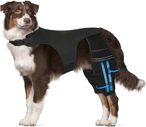 Rodillera ajustable para pierna de perro para pierna trasera, rodillera de perro para pierna trasera desgarrada con 4 estabilizadores, soporte de