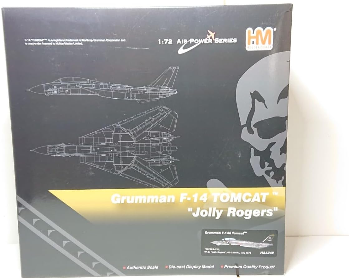 F-14 TOMCAT 