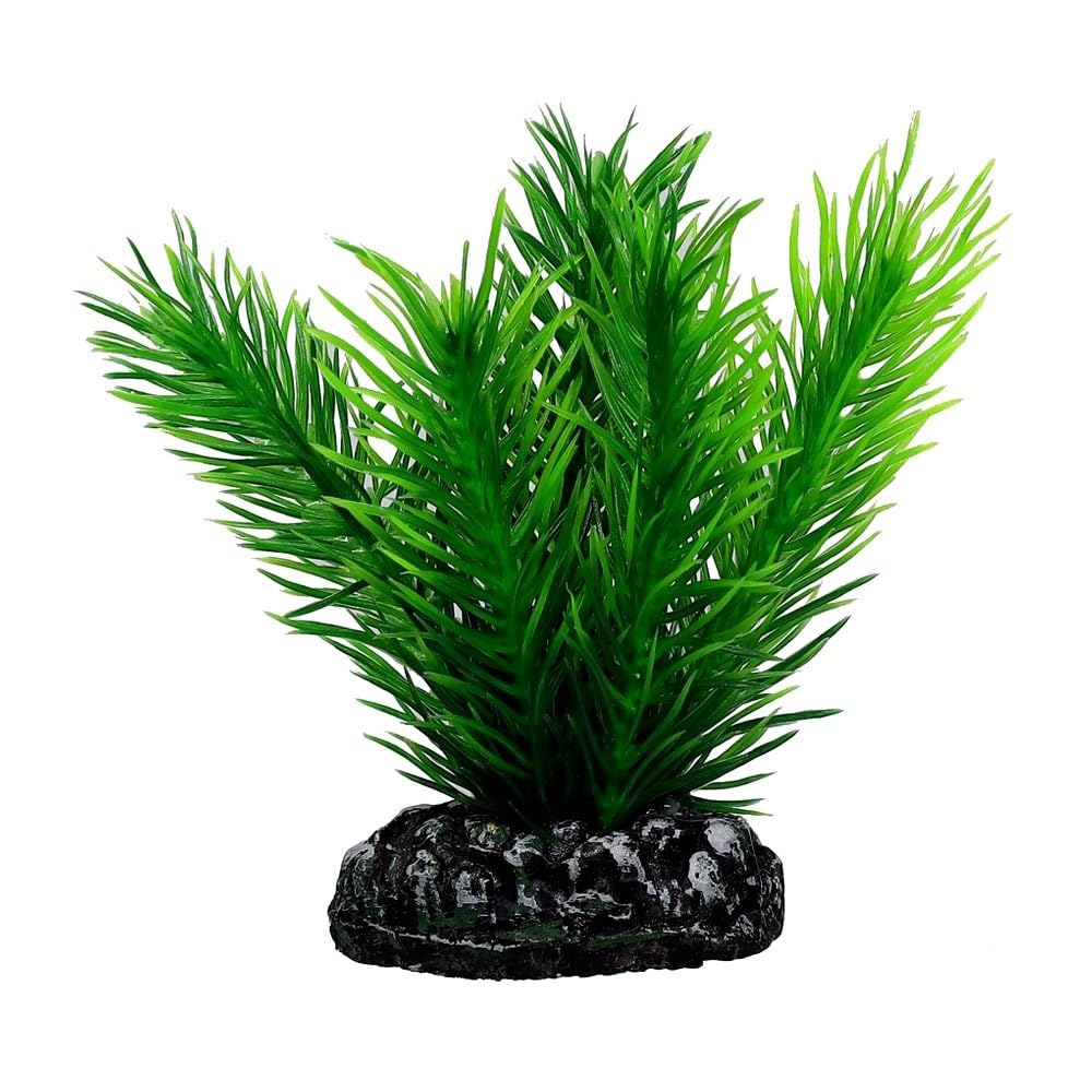 Hobby 51584 Mayaca, 7 cm