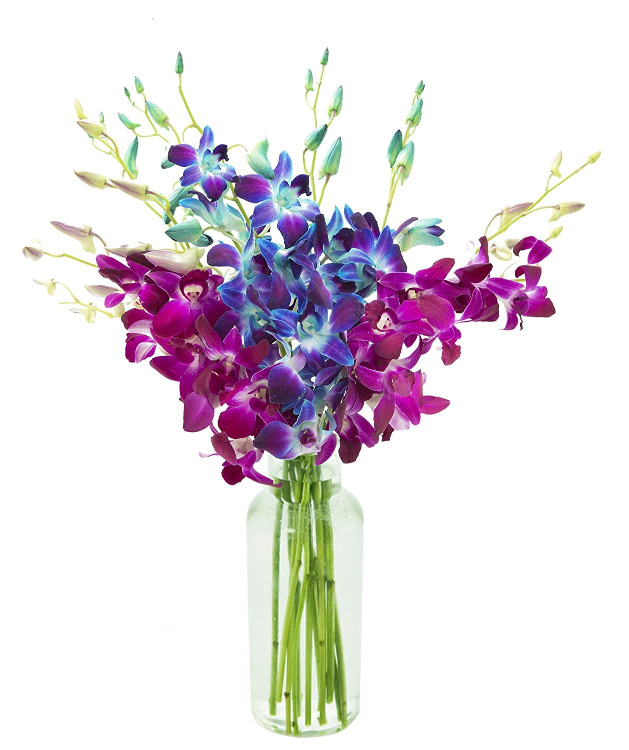 KaBloom-20 Blue&amp;Purple Orchid Bouquet,Flowers for Valentine, Mother's Day