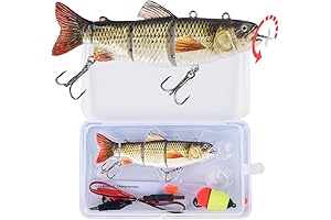 Robotic Robotic Swimming Fishing Electronic Lure: Enhanced Angling Precision