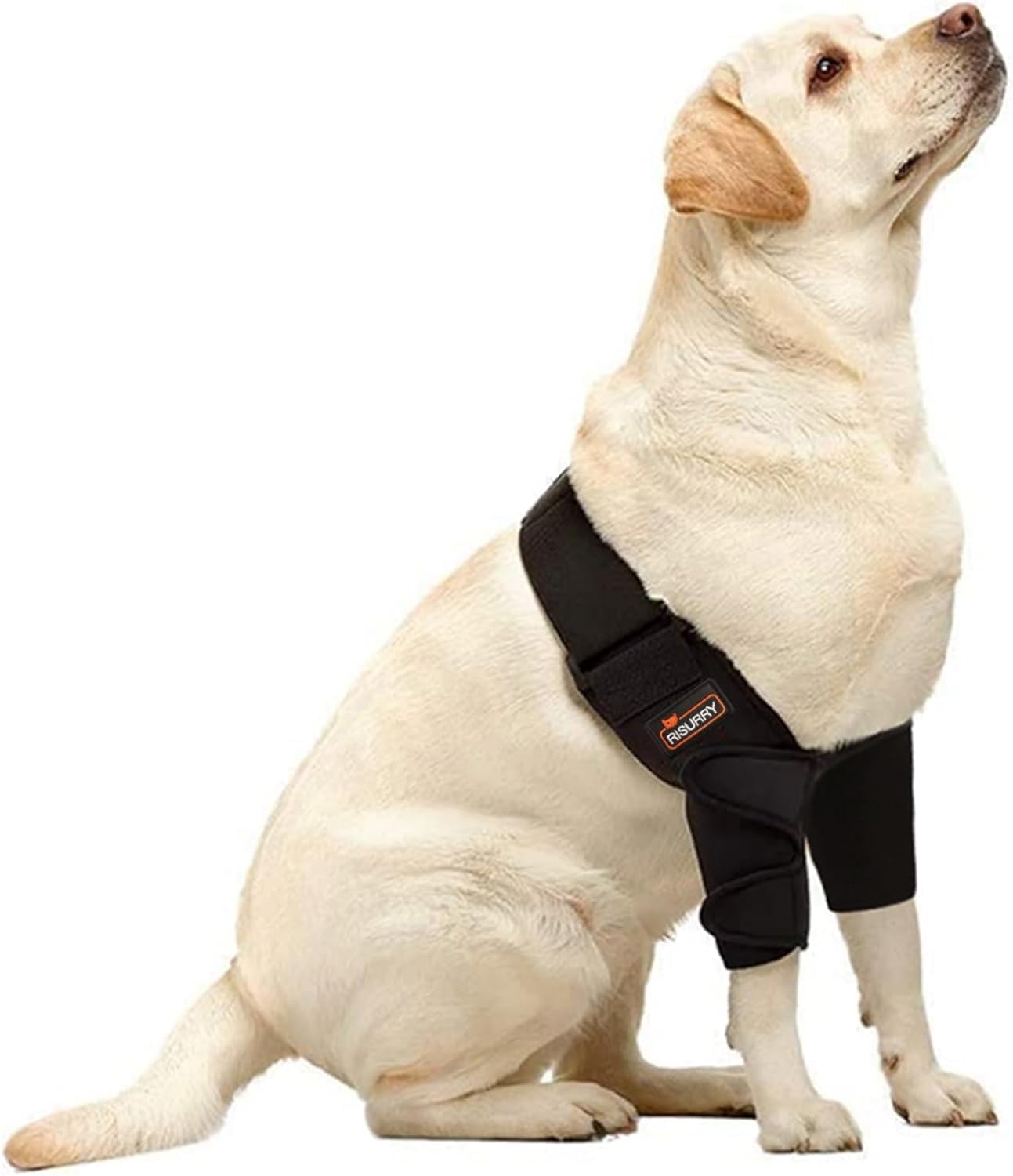 RISURRY Dog Elbow Braces for Offers Elbow Support and