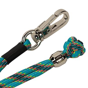 Amazon | [アルティザン＆アーティスト] “スマート” ポップ