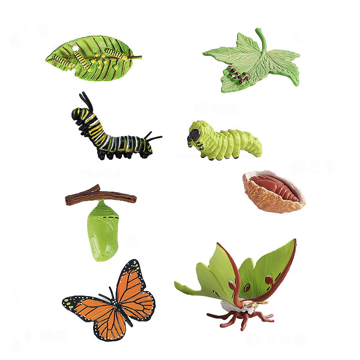 CENPEK 8PCS Butterfly Life Cycle Ornament Model Simulated Insect Models for Children's Pre-School Education