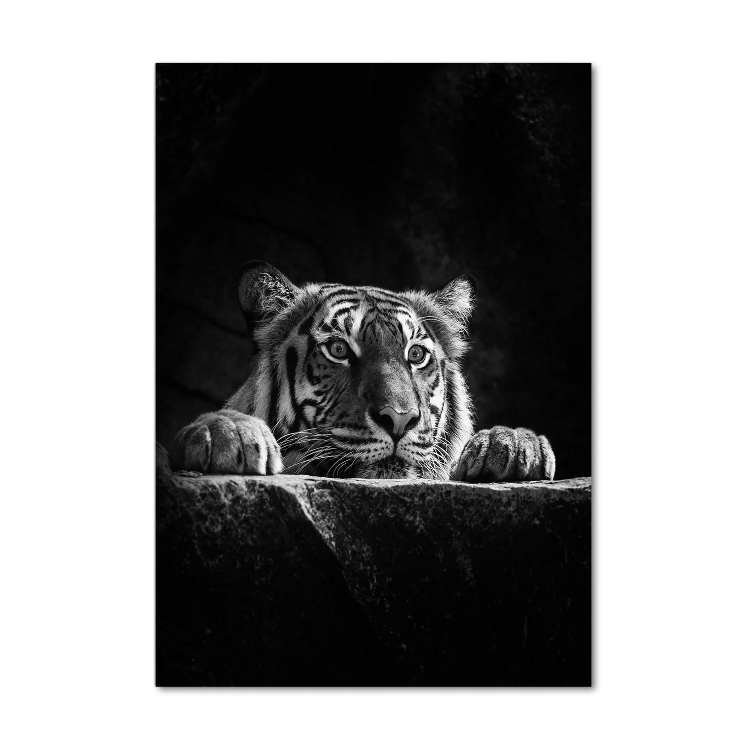 Image sur verre acrylique Tulup déco salon moderne grand tableau tigre