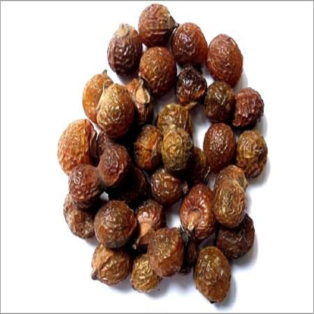 – Whole Aritha Soap Nut Sapindus Pods Fruit Whole Raw Hair Care Wash (100g)