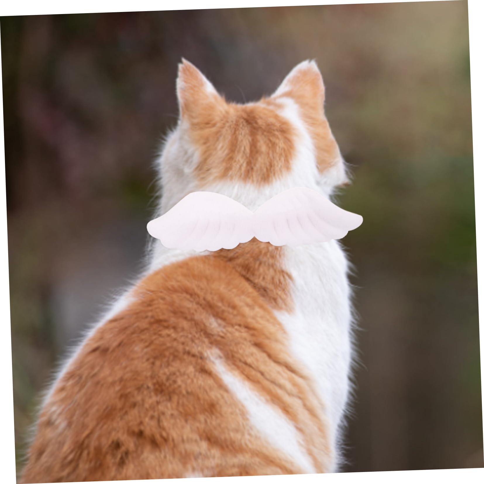 Amazon.co.jp: IADSFSV(ひさこ) ペットの首輪 天使の羽の猫の