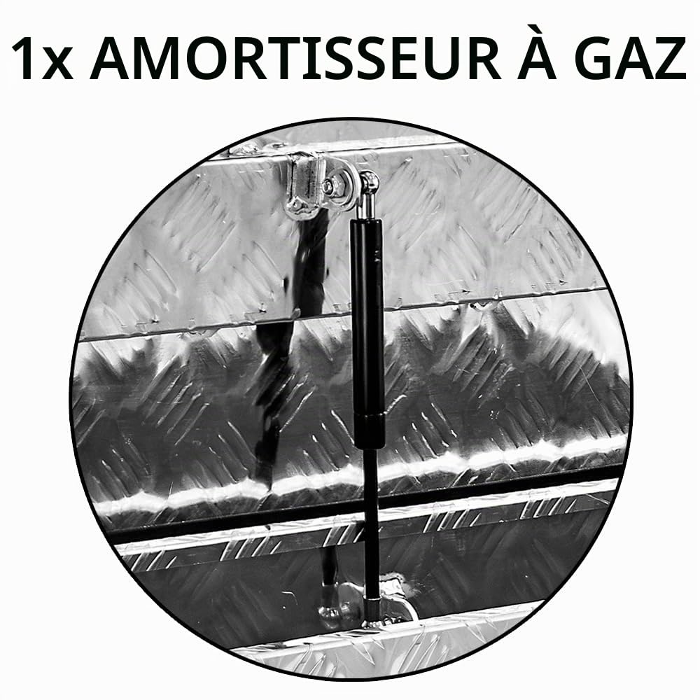 Trucky Truck Box Caisse de Transport Remorque Boîte à Outils Chequer Plaque en Alu D100 y compris matériel de montage