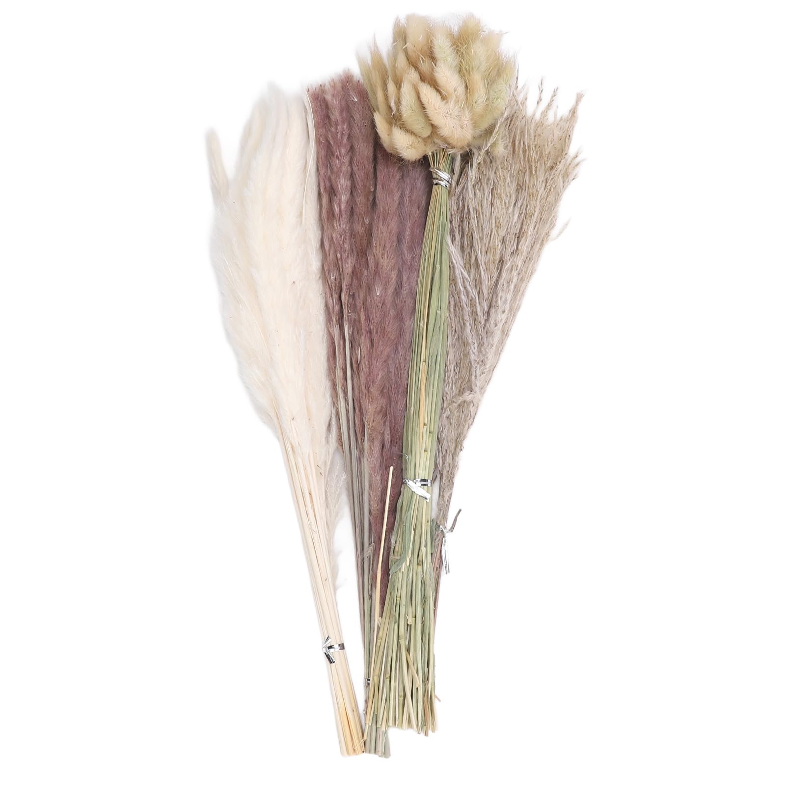 Bouquet d'herbe de la pampa naturelle sans entretien pour grand vase de salon, 100 tiges