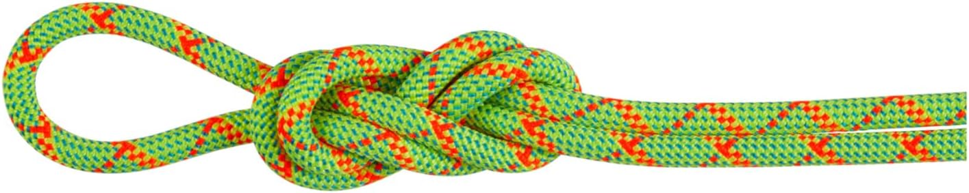 Mammut, 8.0 Alpine Core Protect Dry Rope