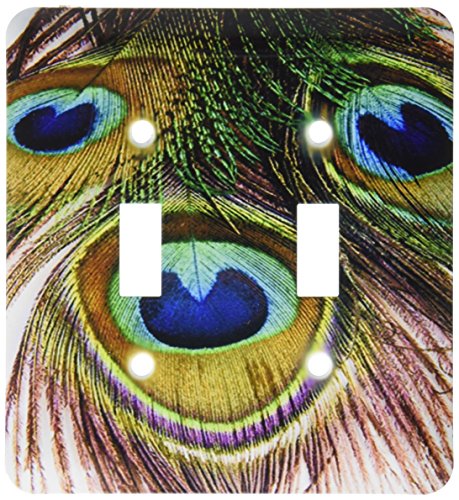 3dRose lsp_180639_2 Image of Real Peacock Feather in Macro Closeup Double Toggle Switch
