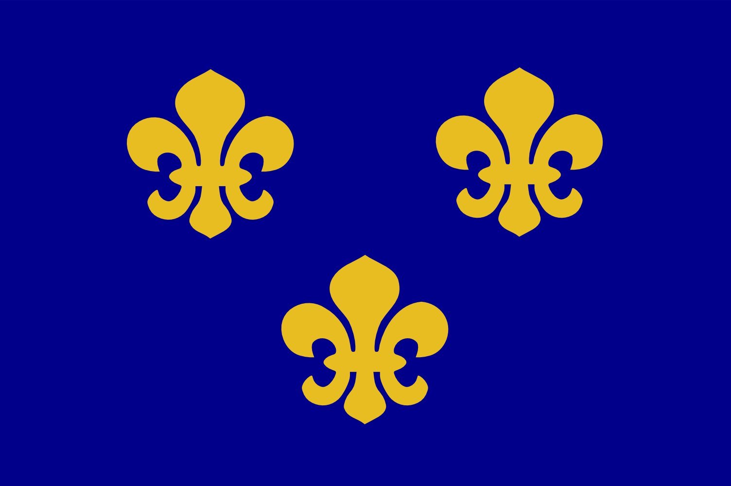 Drapeau XL Medieval France Île-de-France étendard historique de collection