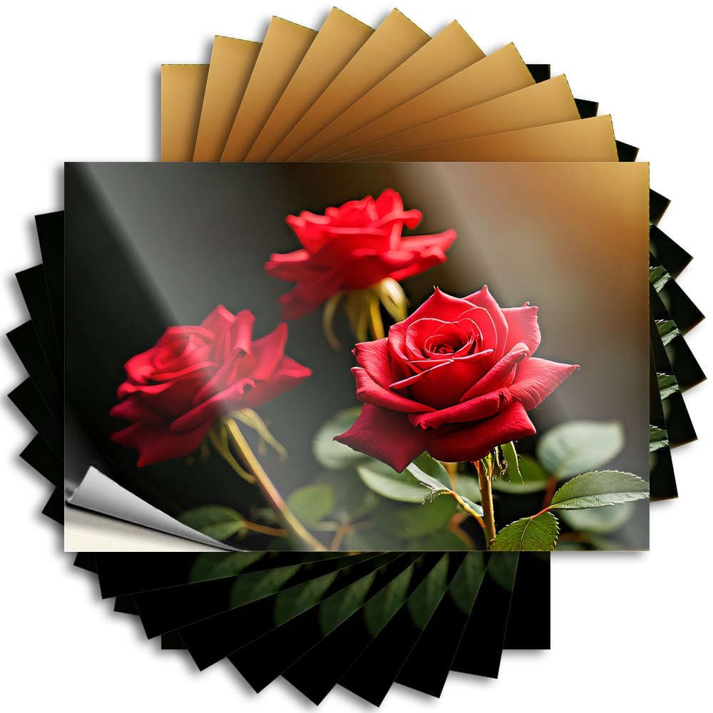 Sticker - Square Wall Three Vibrant Red Roses in Full Bloom for Farmers Friends(12X18CM)