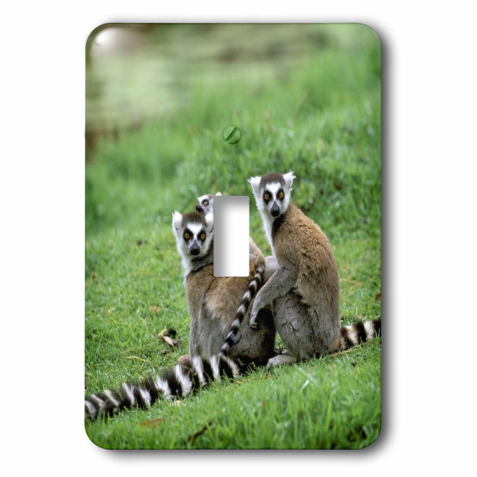 Interrupteur Madagascar Antananarivo pour remplacer plaque blanche