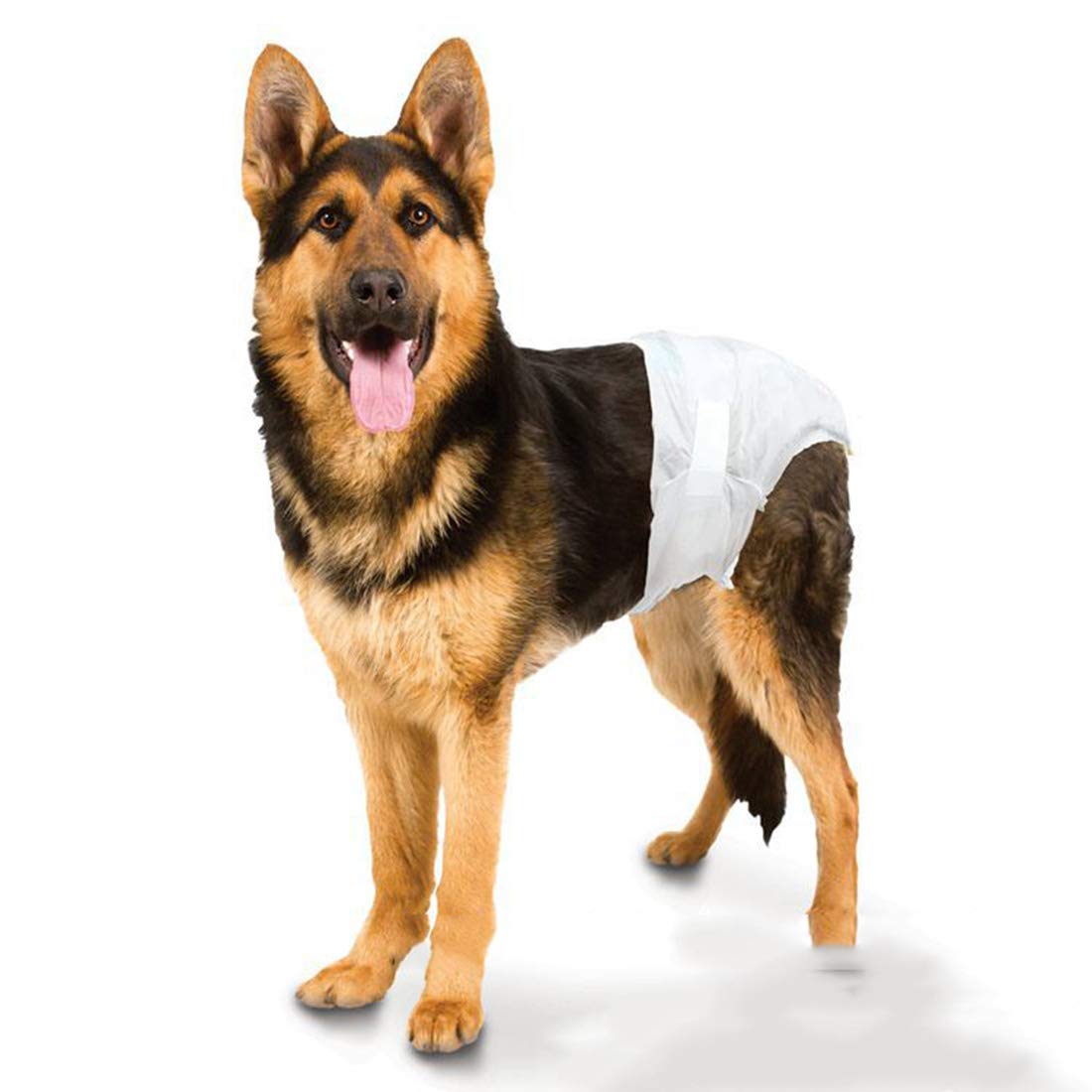 Pañales para Mascotas Desechables Desechables Perros para Perros10 Hoja Desodorización Absorbente de Agua Toallas Sanitarias para Perros