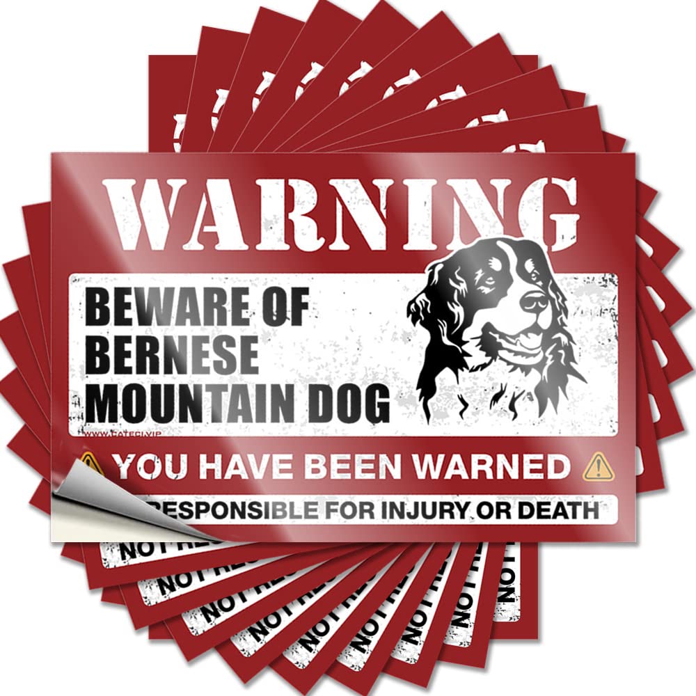 Fzfn Colour Decal Vintage, Western Laptop Beware Of Bernese Mountain Dog | Porch Decorations(8X12cm)