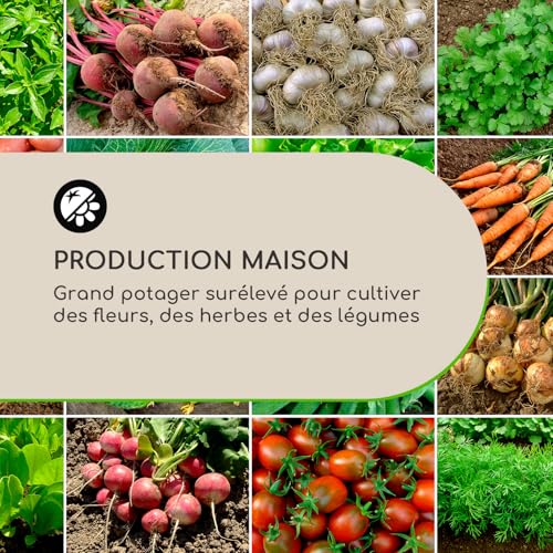 Potager surélevé en acier galvanisé antirouille de 160 cm