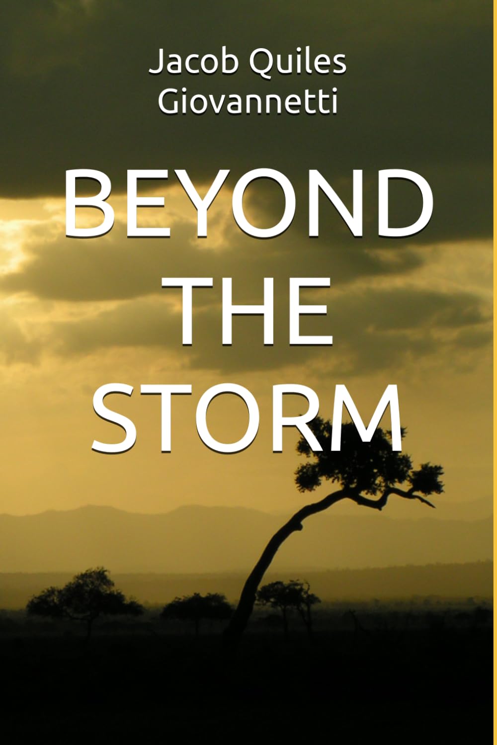 BEYOND THE STORM