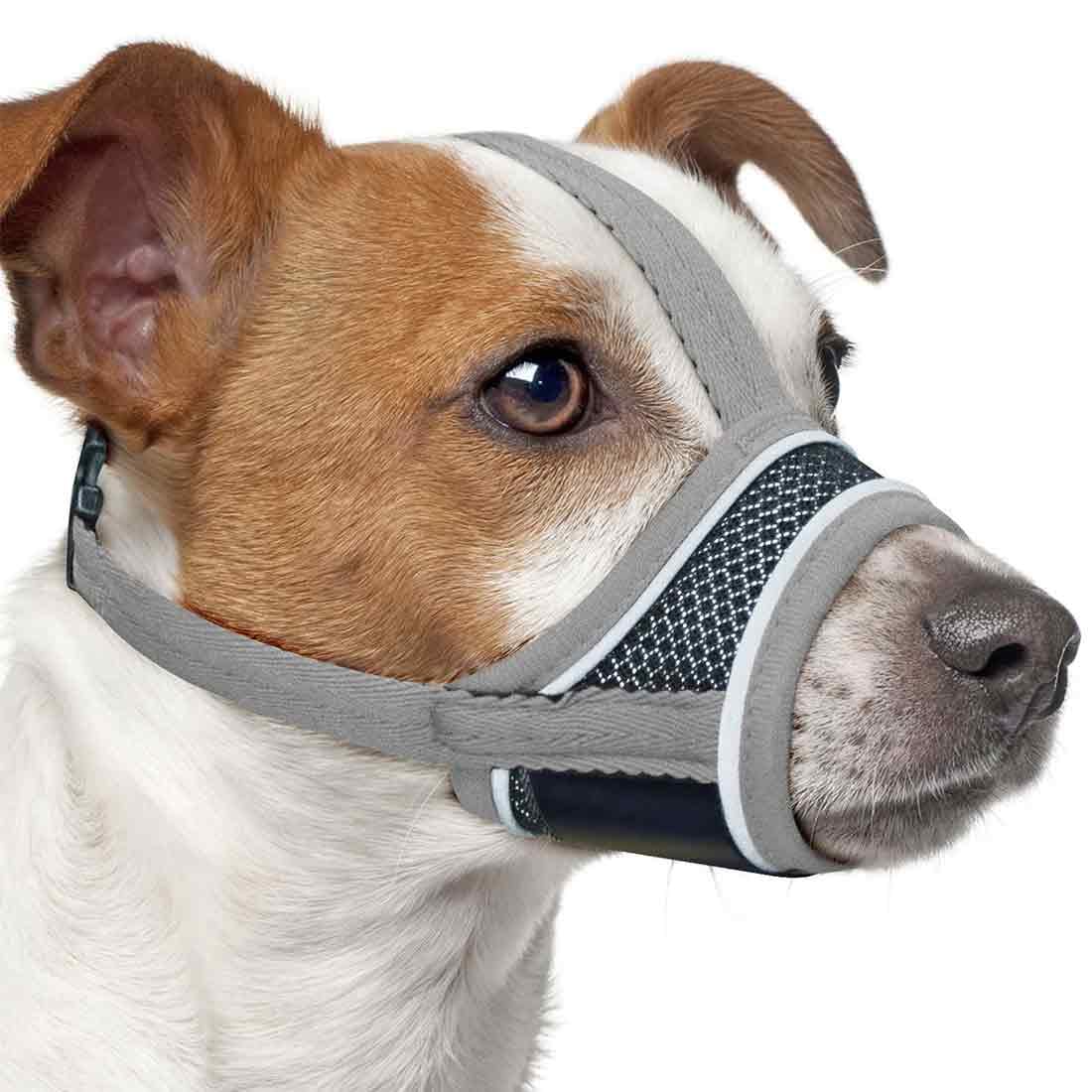 Museruola Cane, Museruola Addestramento per Cani a Maschera, Museruola Traspirante Cani Regolabile con Cinghie, Copertura per Cani di Piccola Media Taglia, S