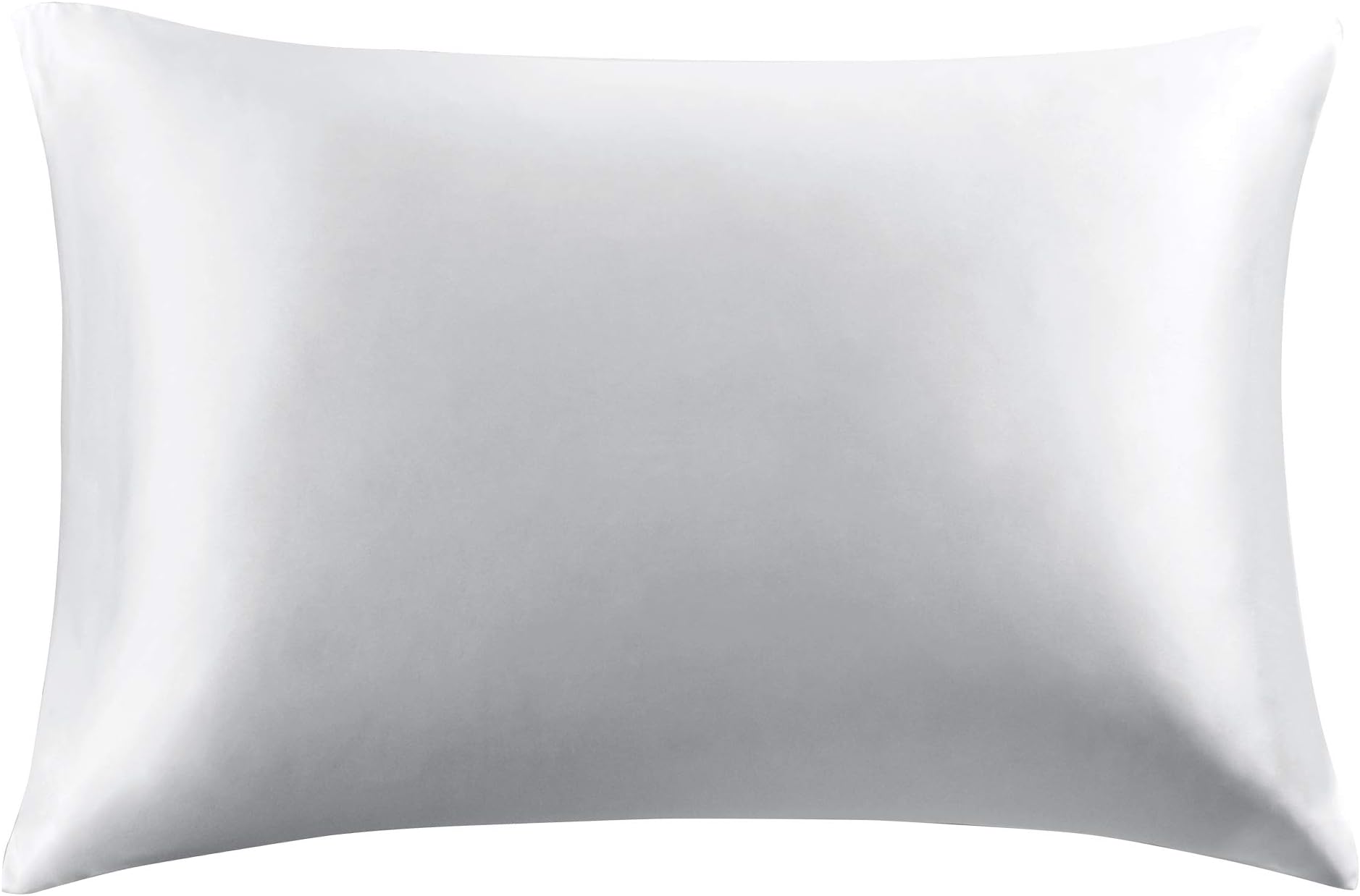HYDE LANE 100% Natural White Silk Pillowcase King Size Set of 2, Rejuvenating Satin Pillow case for Hair and Skin with Hidden Zipper 20x36