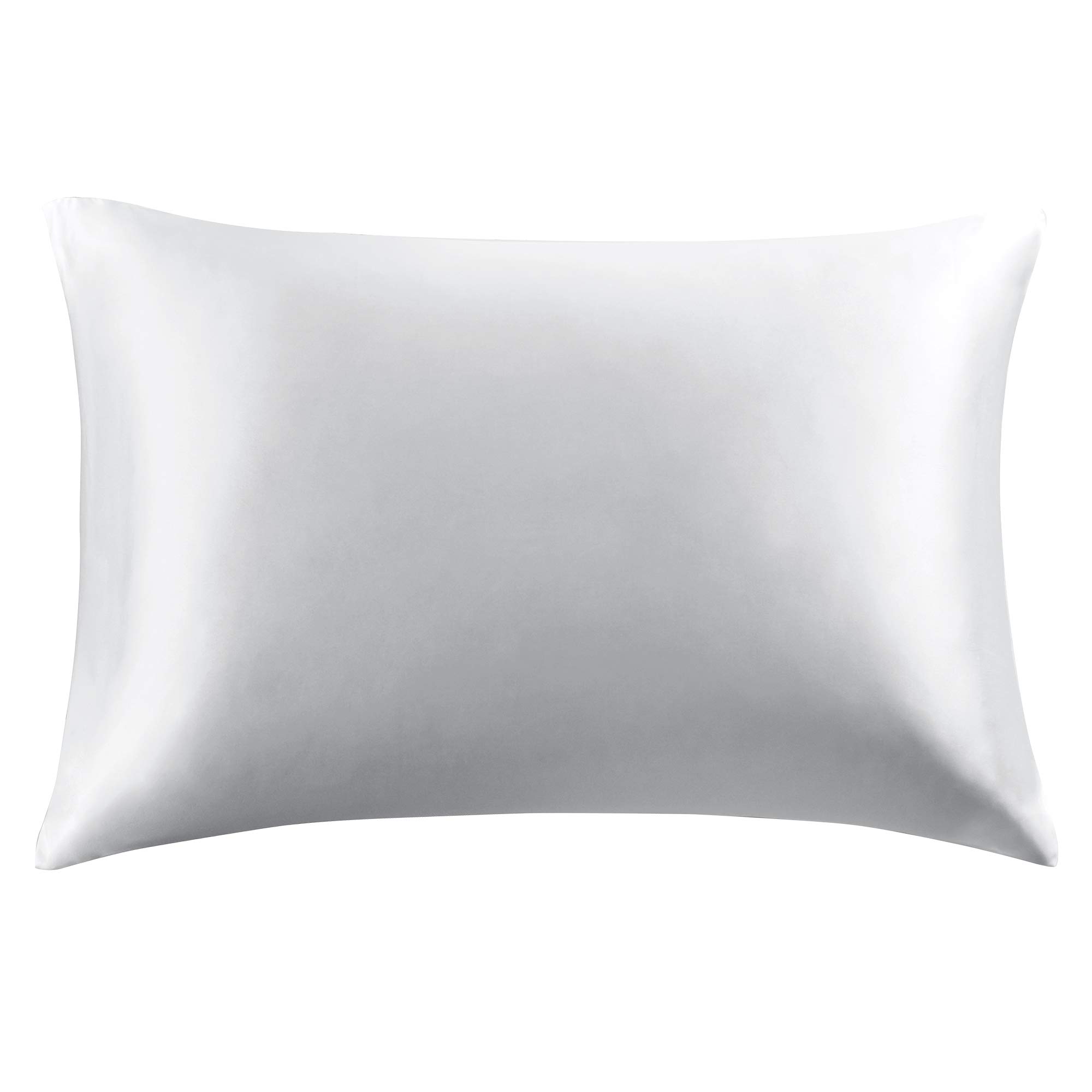 HYDE LANE 100% Natural White Silk Pillowcase King Size Set of 2, Rejuvenating Satin Pillow case for Hair and Skin with Hidden Zipper 20x36