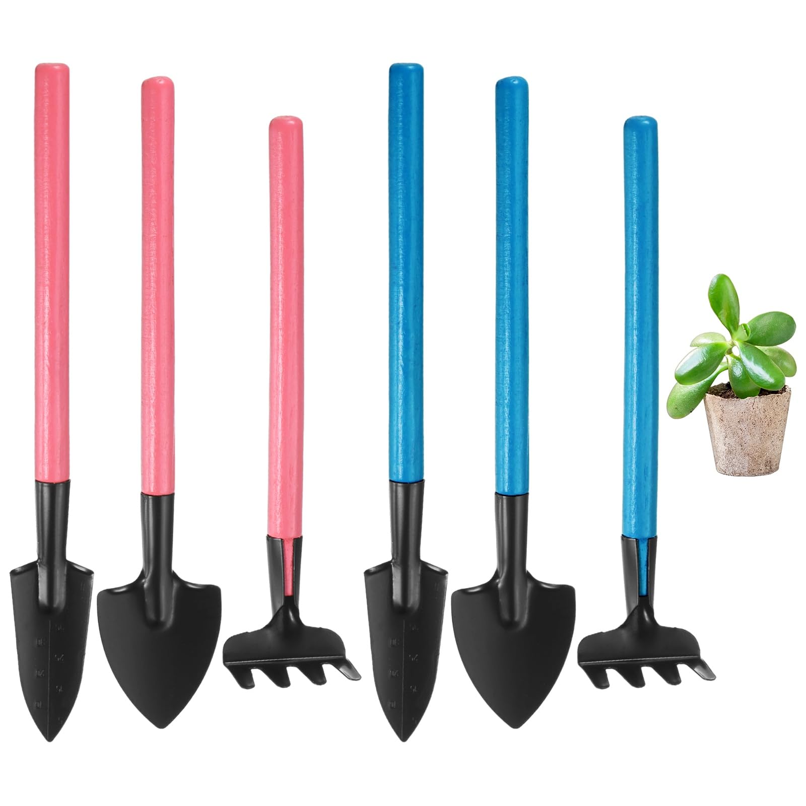 M METERXITY 2-Set Mini Gardening Tools, Stainless Steel Miniature Gardening Rake, Trowel, and Shovel for Seedlings/Bonsai/Succulents/Herbs/Terrariums and Planting, Mini Shovel [Blue, Pink]