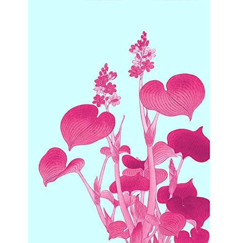 Wee Blue Coo Ohara Koson Blooming Hosta Unframed Art Print Poster Wall Decor 12x16 inch