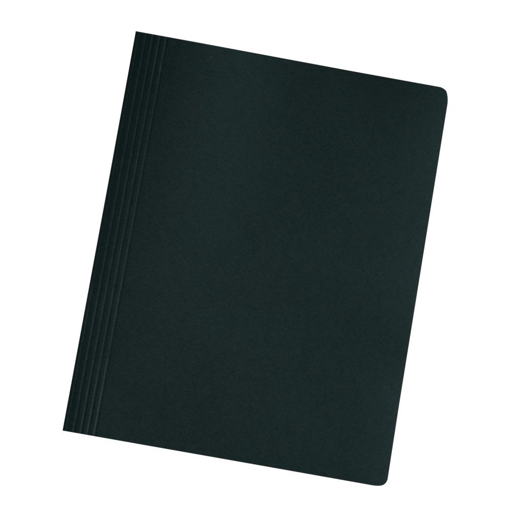 Herlitz Manila 10 kartonowych skoroszytów / DIN A4 / 10 kolorów