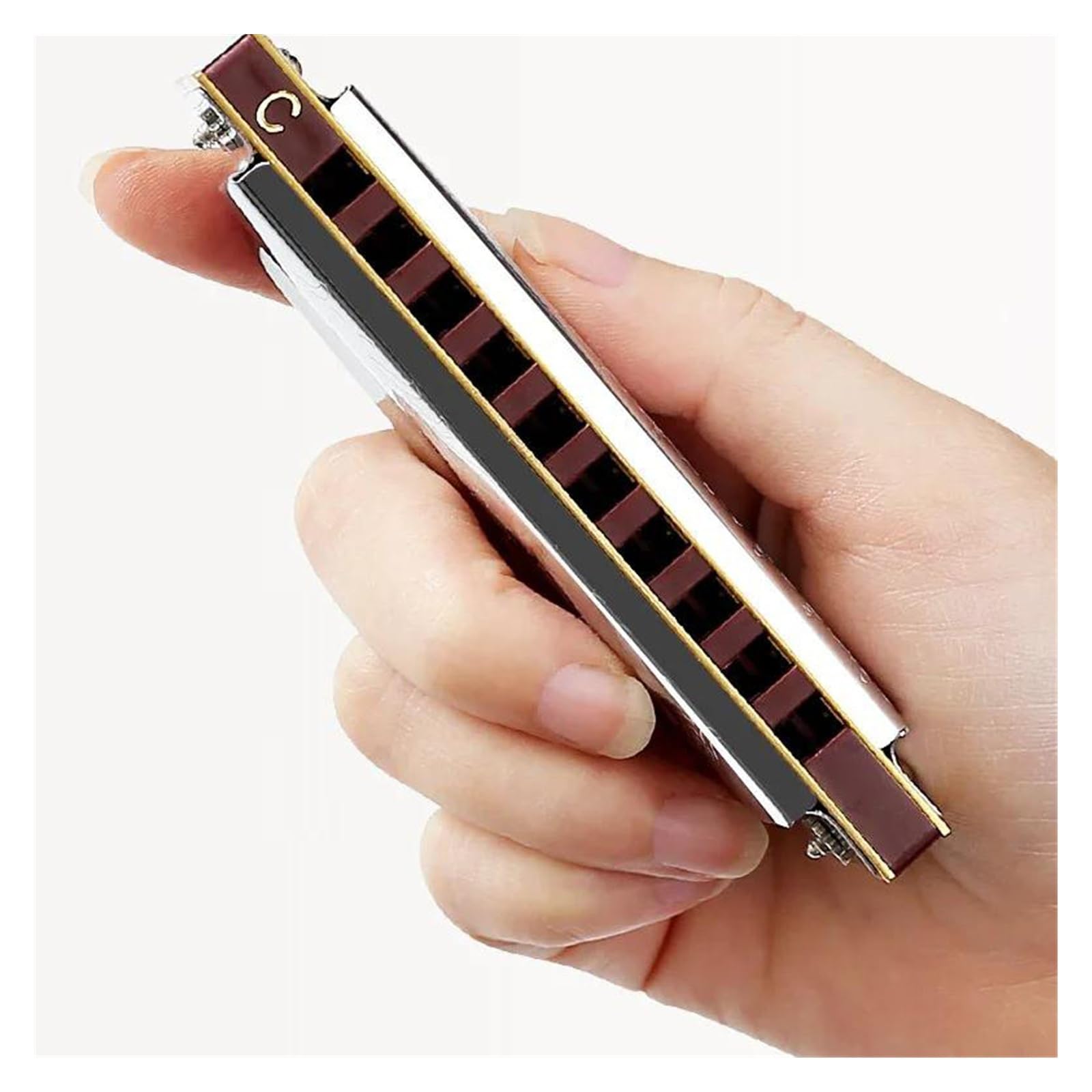 10 Hole Blues Harmonica gra klasy Blues C Key dla początkujący
