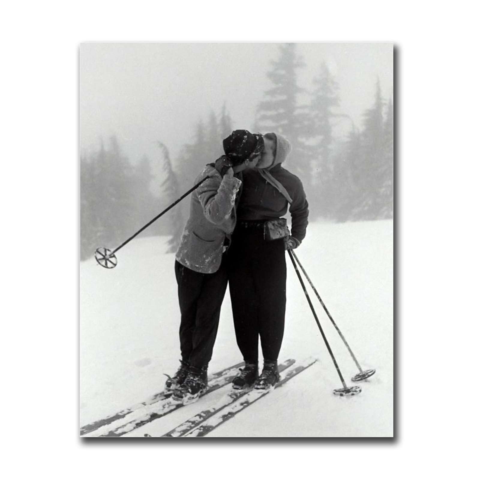 Broche ESF École du ski français 2 étoiles - Collection
