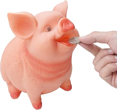 DreamsEden Hucha - Caja de ahorro de plástico irrompible (cerdo lindo)