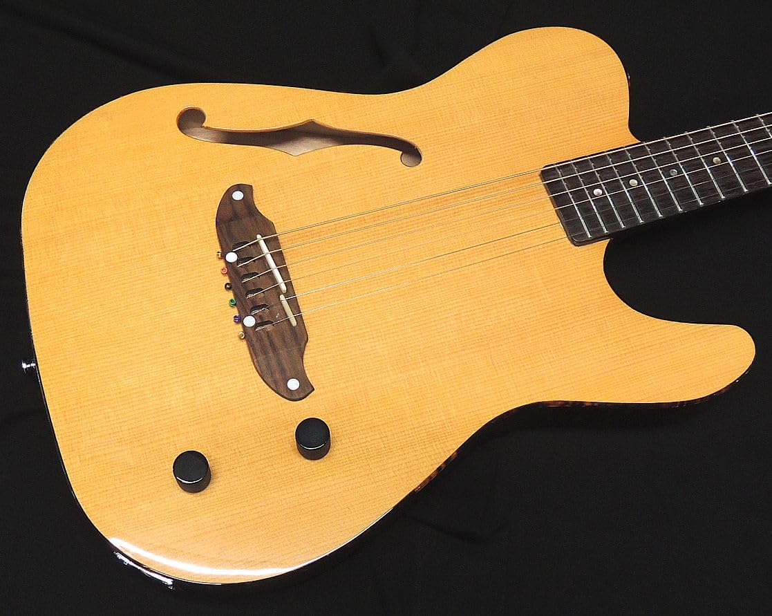 Amazon | SCHECTER OL-FL-P VNTL グロスフィニッシュ シェクター 薄胴