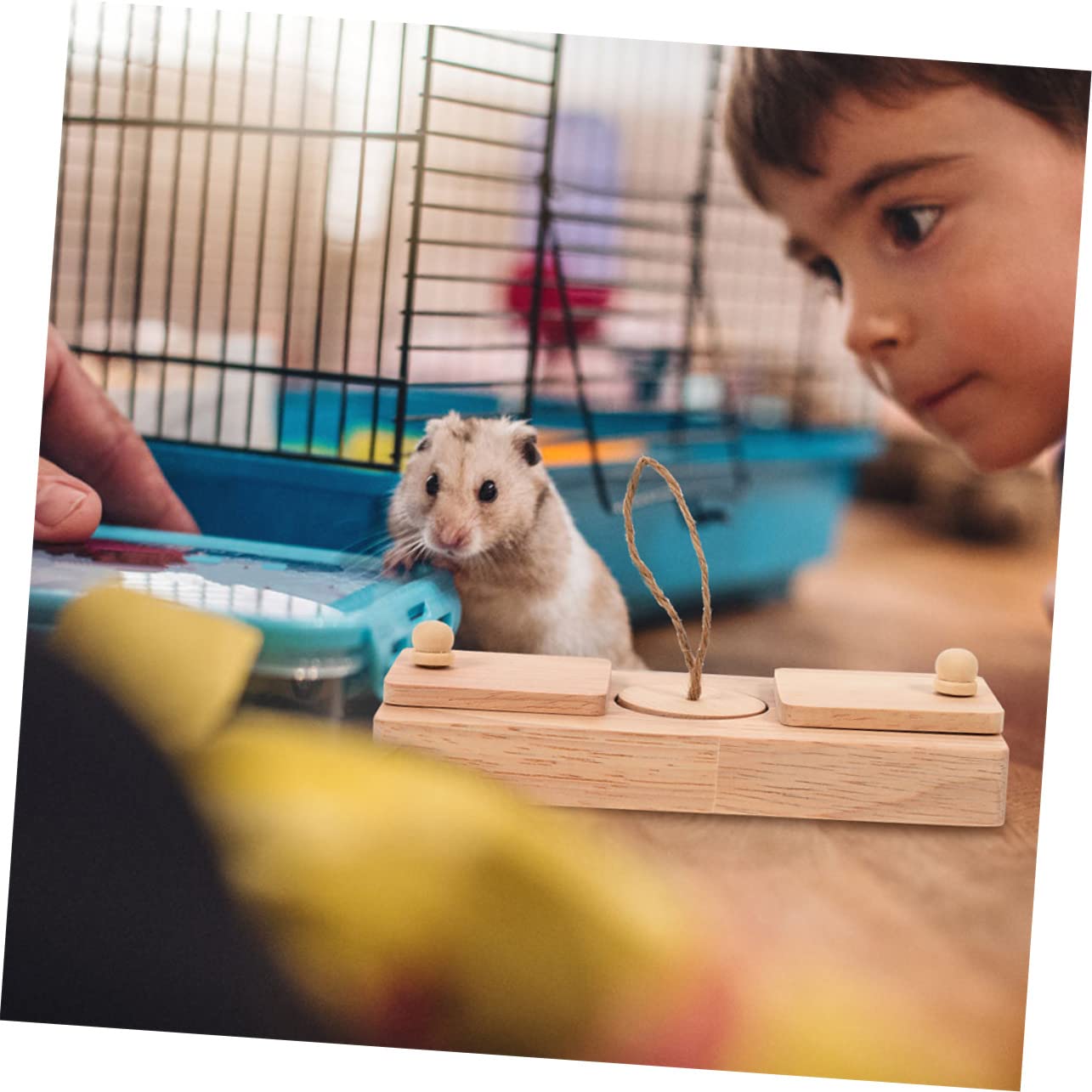 Giocattoli per Criceti in Legno Cibo Nascosto 2 Pezzi | Gabbia e Gioco, Adatti al Criceto, Accessorio da Disposizione, Set Compatto per Piccoli Roditori