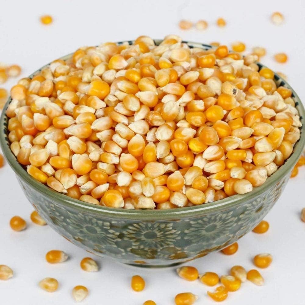 Organic Popcorn Kernels (Makka Sabut) - 500 Grm Packing Rich in Nutrients & Fibre-picture-14