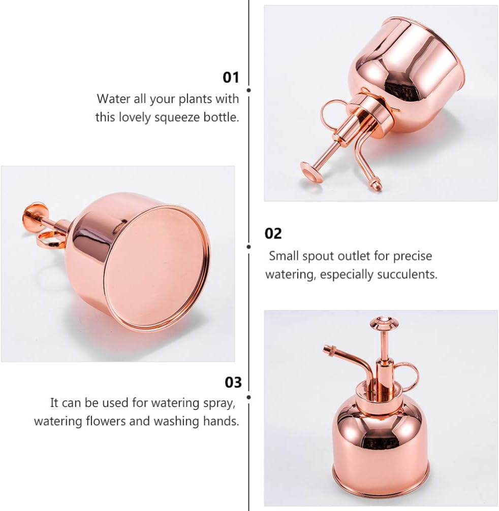 1pc Stainless Steel Watering Can Plant Spray Bottles Watering Cans with Pump Vintage Plant Spritzers with Pump Succulent